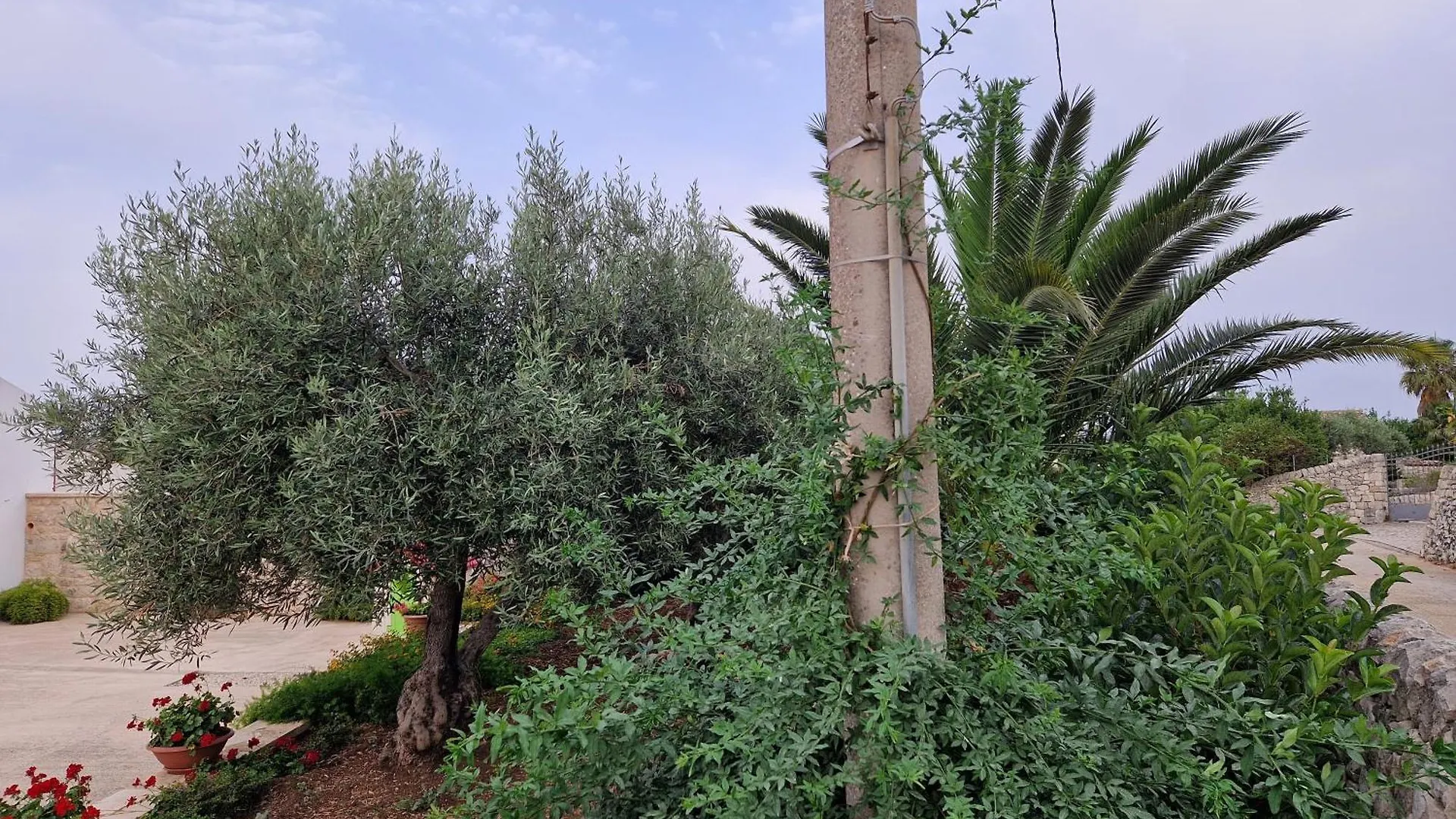 Casa Vacanza I Due Ulivi Modica Italy